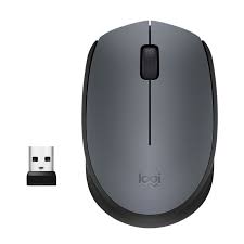 Logitech M170 Mouse 1
